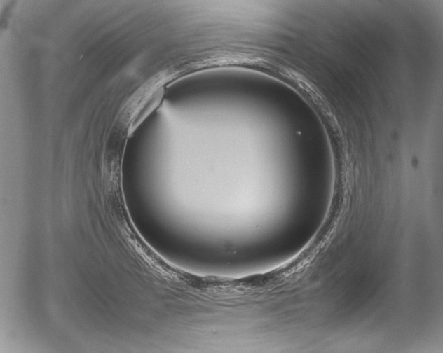 X0000054371185200508011212