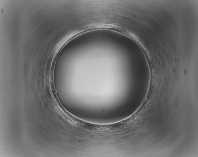 X0000054371187200508011212