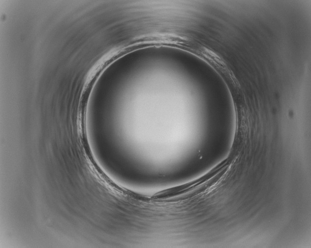 X0000054371188200508011212