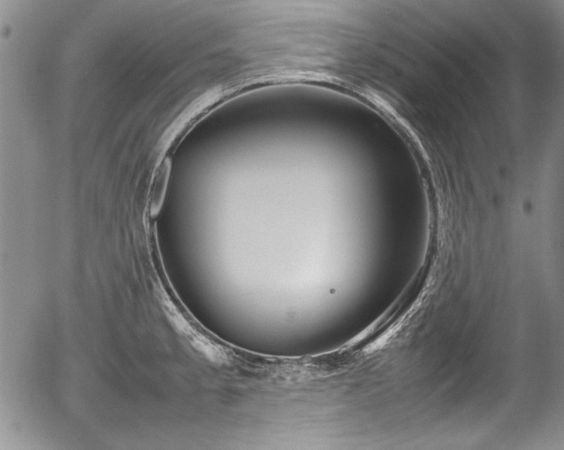 X0000054371189200508011212