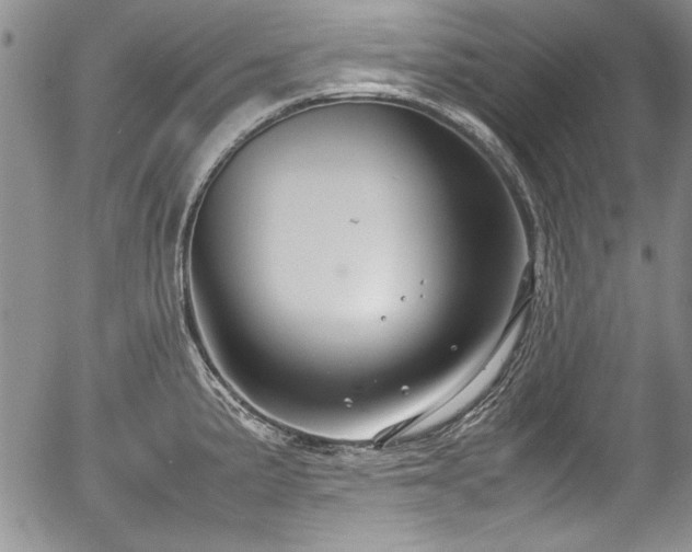 X0000054371191200508011212