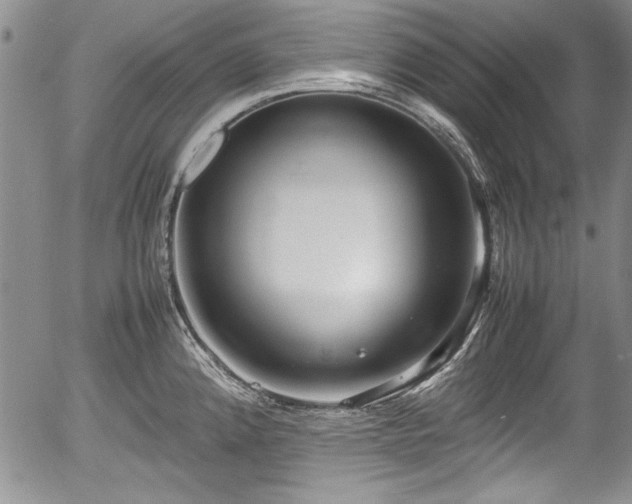 X0000054371192200508011212