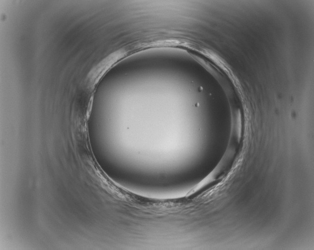 X0000054371193200508011212