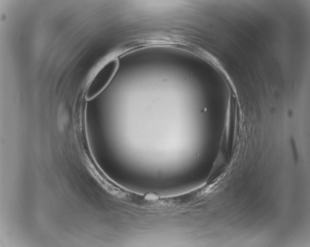 X0000054371195200508011212