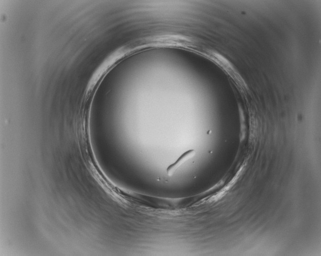 X0000054371196200508011212