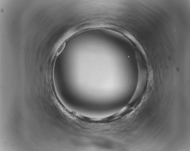 X0000054371197200508011212