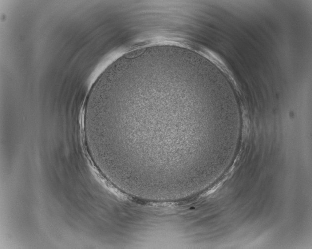 X0000054371198200508011212