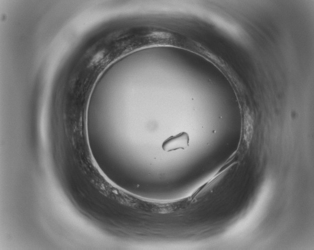 X0000054371199200508011212