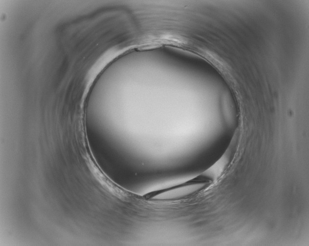 X0000054371200200508011212