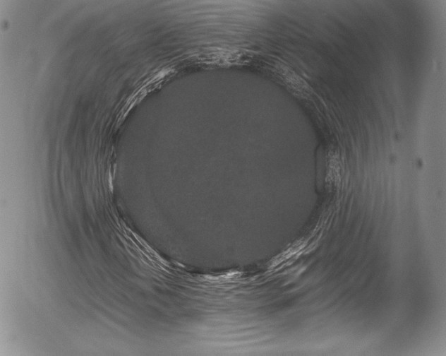 X0000054371202200508011211