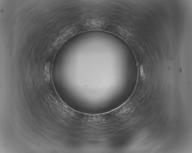 X0000054371203200508011211