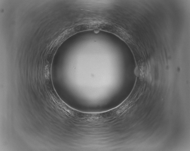 X0000054371204200508011211