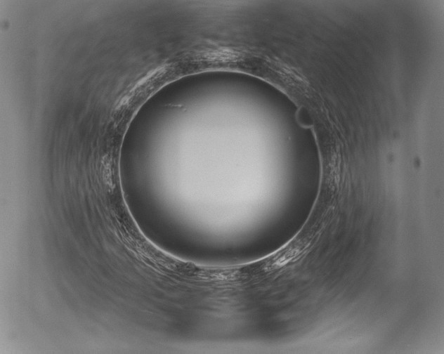 X0000054371205200508011211