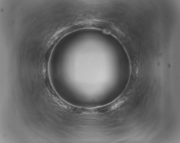 X0000054371206200508011211