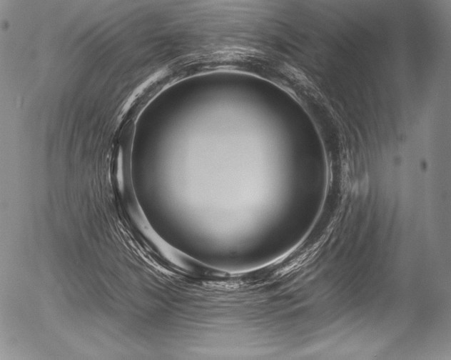 X0000054371210200508011211