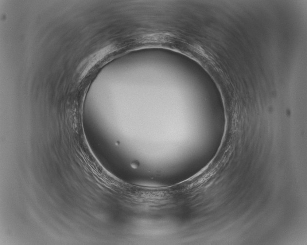 X0000054371211200508011211