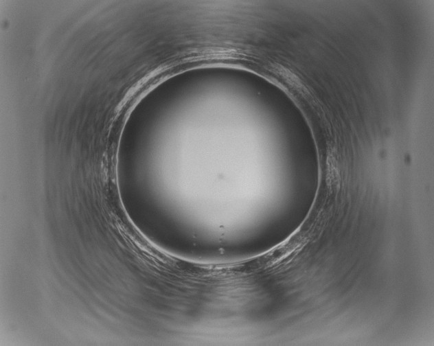 X0000054371212200508011211