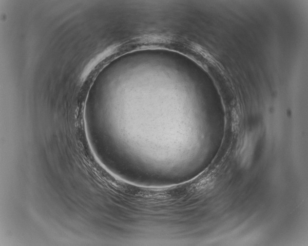 X0000054371213200508011211