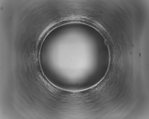 X0000054371216200508011211