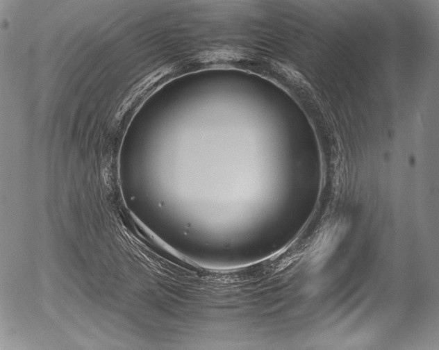 X0000054371217200508011211