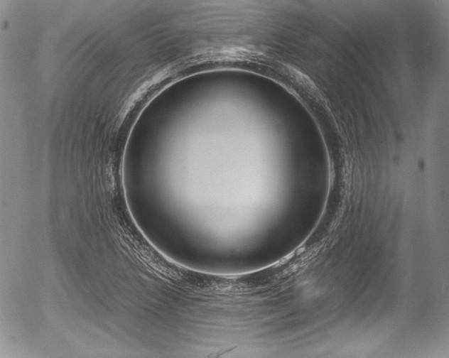 X0000054371218200508011211