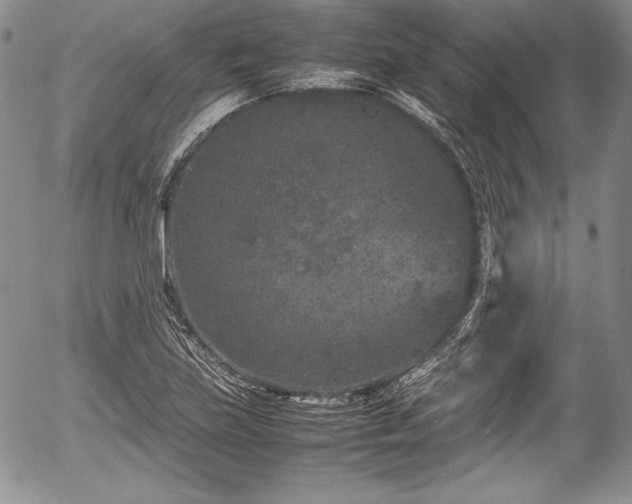 X0000054371219200508011211