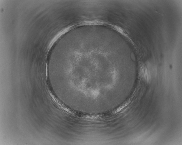 X0000054371221200508011212