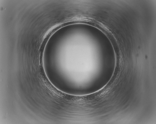 X0000054371222200508011212