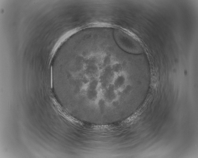 X0000054371223200508011212