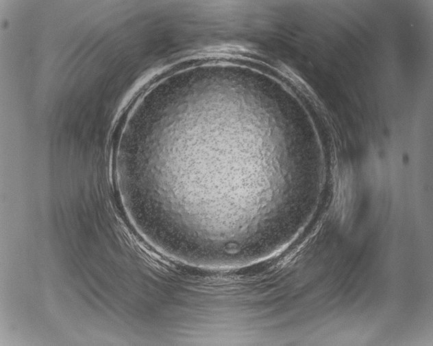 X0000054371224200508011212