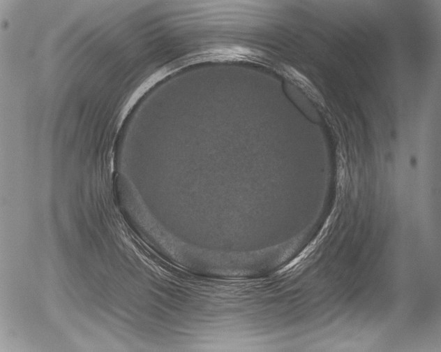 X0000054371226200508011212