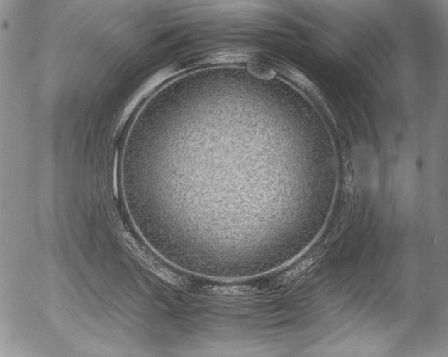 X0000054371227200508011212