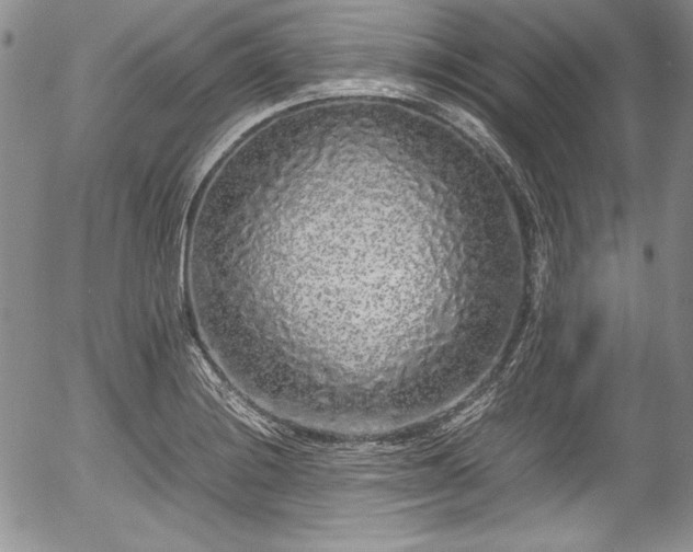 X0000054371228200508011212