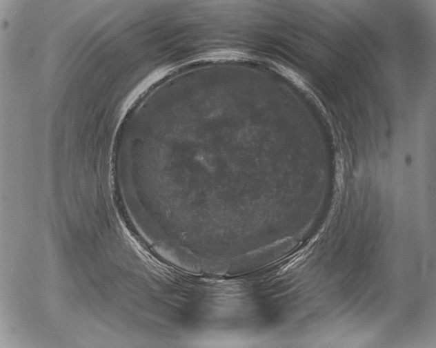 X0000054371229200508011212