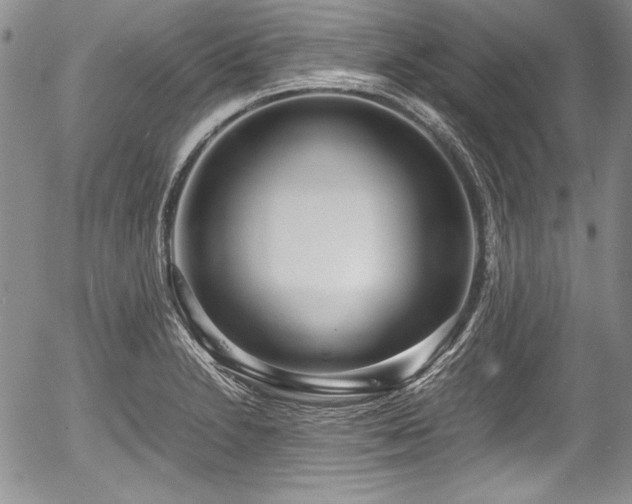 X0000054371230200508011212