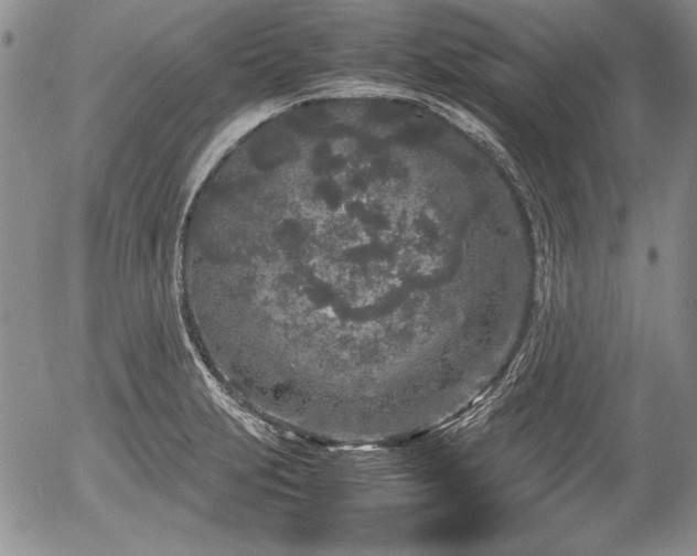 X0000054371231200508011212