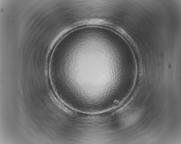 X0000054371232200508011212