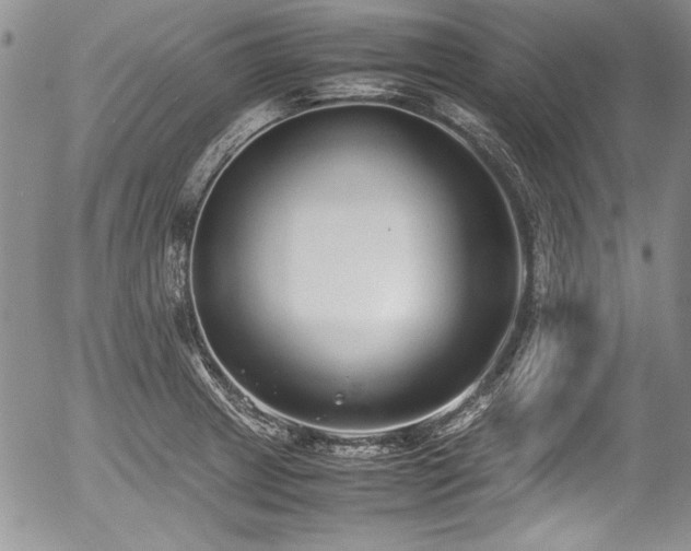 X0000054371233200508011212