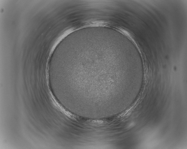 X0000054371235200508011212