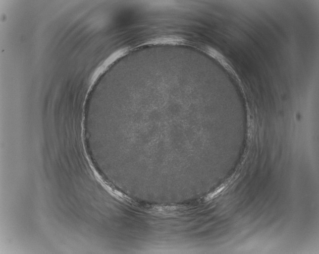 X0000054371237200508011212