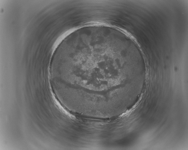 X0000054371239200508011212