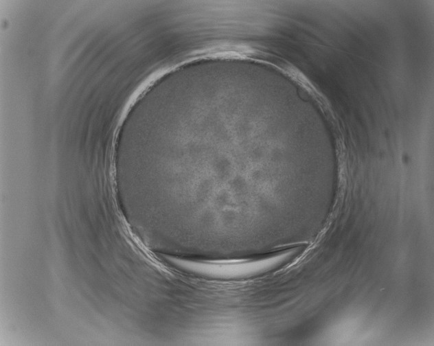 X0000054371240200508011212