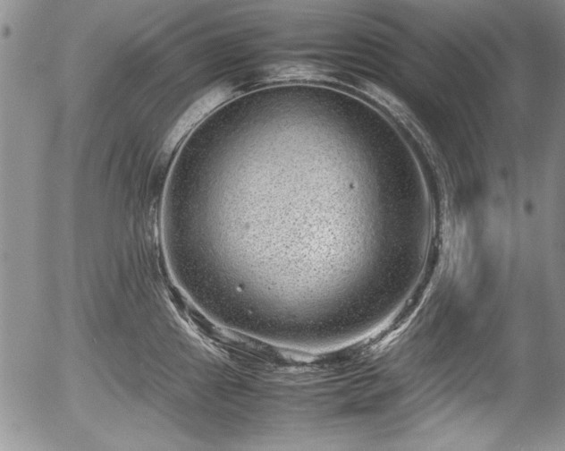 X0000054371241200508011212