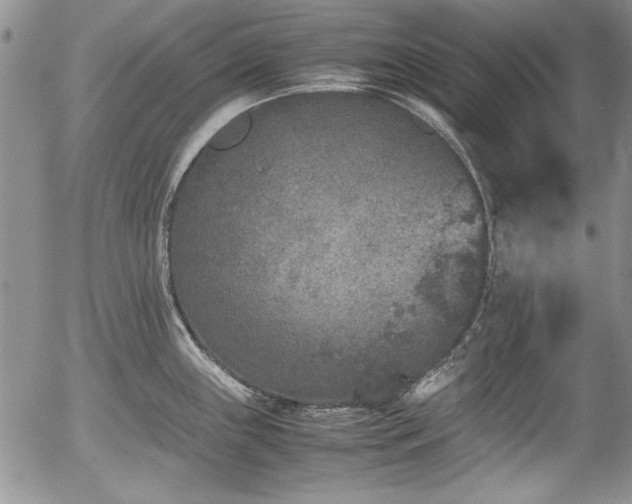 X0000054371243200508011212