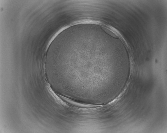 X0000054371244200508011212