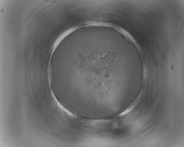 X0000054371247200508011212