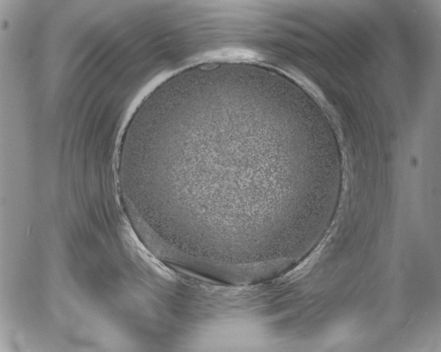 X0000054371248200508011212