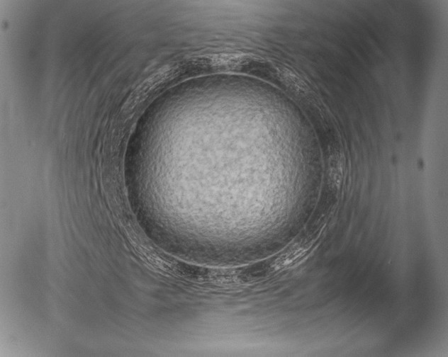 X0000054371249200508011211