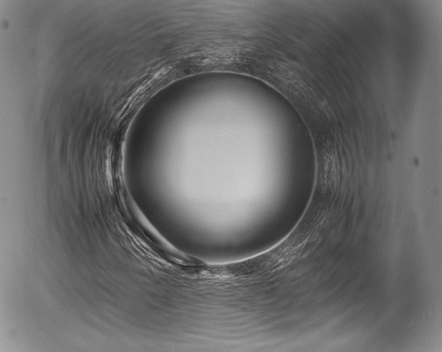 X0000054371250200508011211