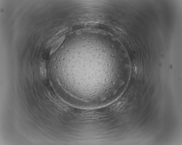 X0000054371252200508011211